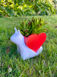 Adorable Snail with Heart Shell Planter | Succulent & Air Plant Pot