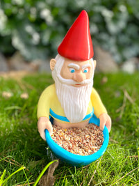 Handcrafted Whimsical Gnome Bird Feeder for Garden & Small Birds | PLA Plastic