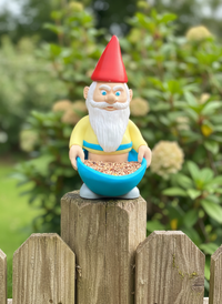 Gnome Bird Feeder - AI generated