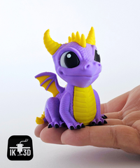 Baby Dragon Teen Evolution Model with Wings