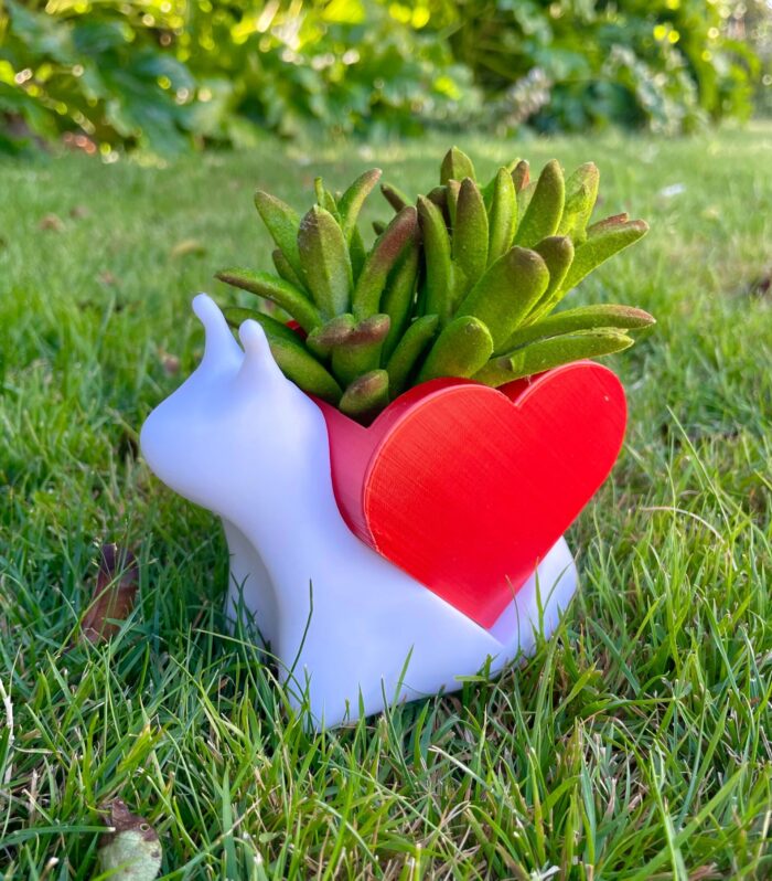 Adorable Snail with Heart Shell Planter | Succulent & Air Plant Pot